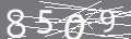 capsa